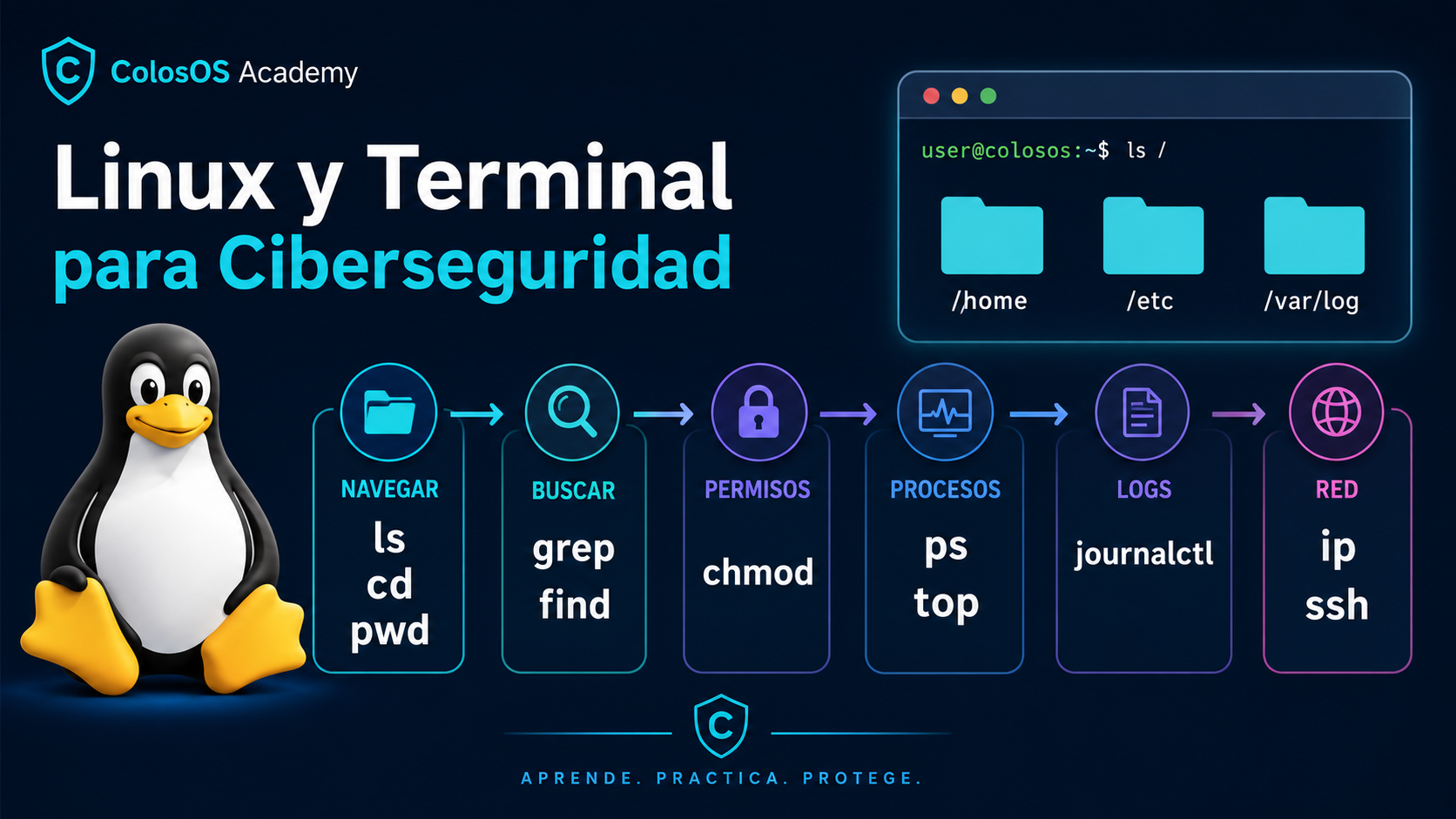 Imagen premium de Linux y terminal para aprender ciberseguridad en ColosOS Academy