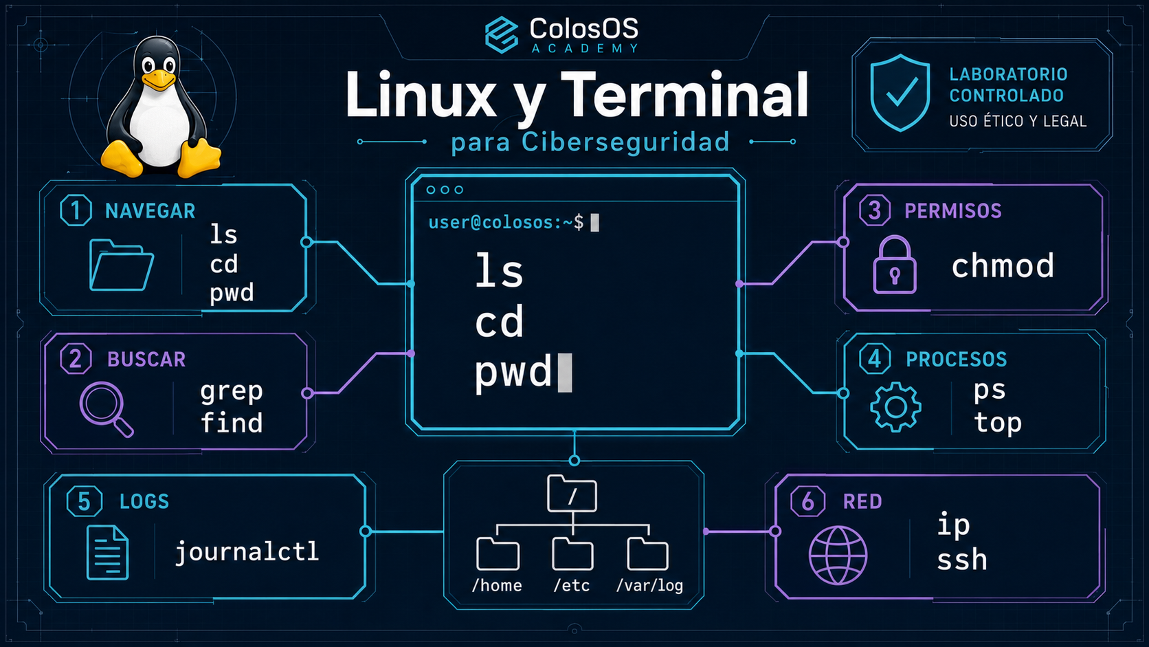 Infografía premium de Linux y terminal para ciberseguridad